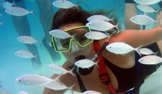  Snuba Diving 